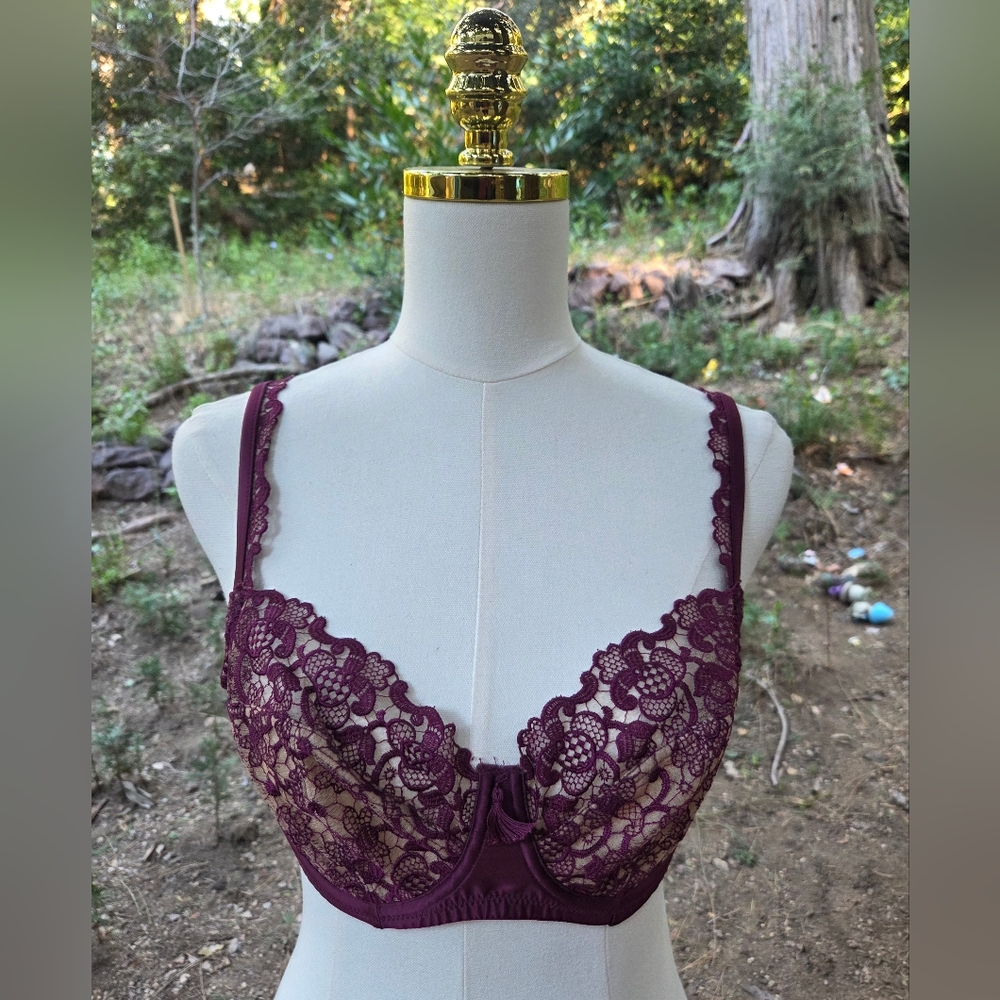 Harlequin Lingerie Maroon And Beige Lace Bra‎ Size 34E